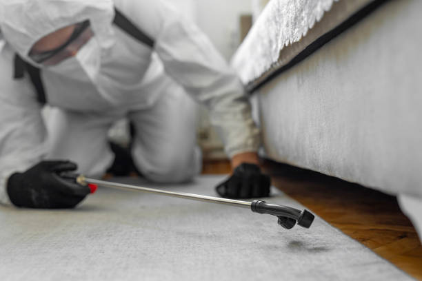 Professional Bed Bug Control technician working in Idaho Falls, ID