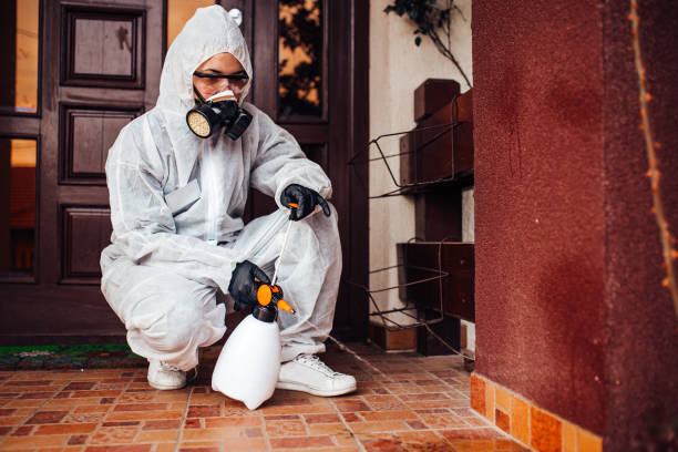 Reliable Bed Bug Control contractor in Idaho Falls, ID by Nex Pest Control