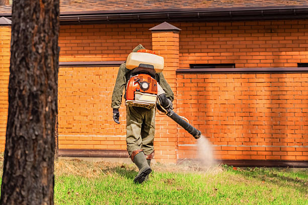 Trusted Bed Bug Control service in Idaho Falls, ID - Nex Pest Control